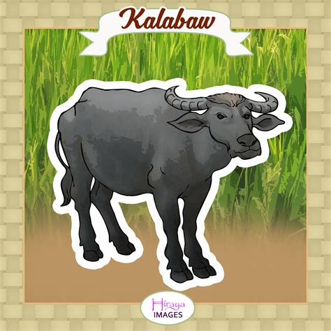 picture ng kalabaw|Kalabaw Images – Browse 49 Stock Photos, Vectors, and Video.